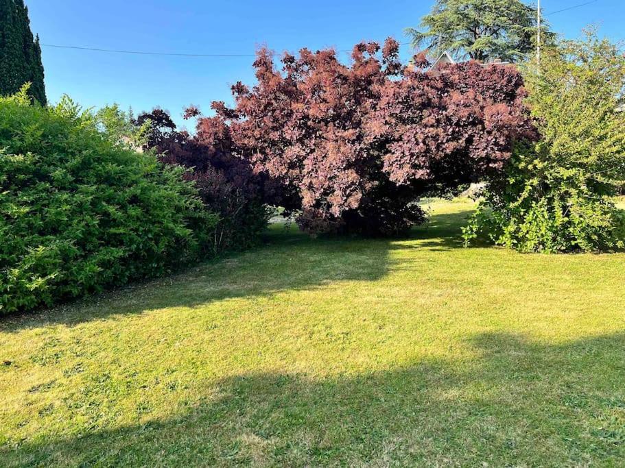 Gite De La Petite Fourmy Saint-Sulpice-les-Feuilles Esterno foto