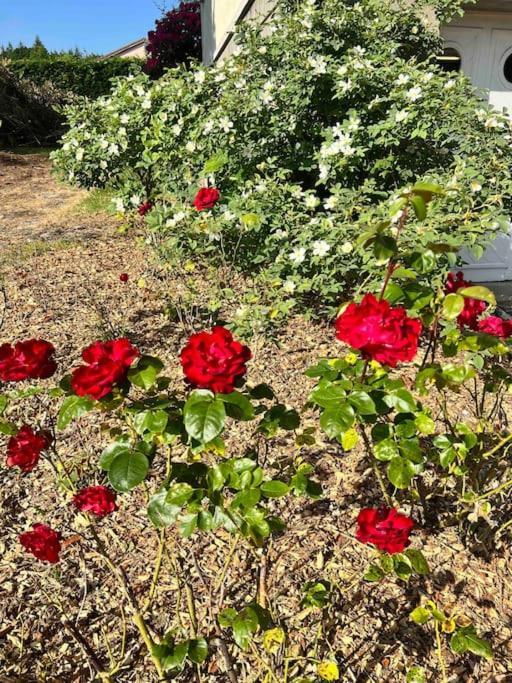 Gite De La Petite Fourmy Saint-Sulpice-les-Feuilles Esterno foto